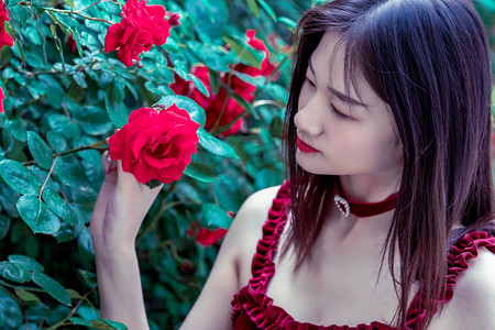 美国最高法院允许特朗普政府推进教育部大规模裁员计划